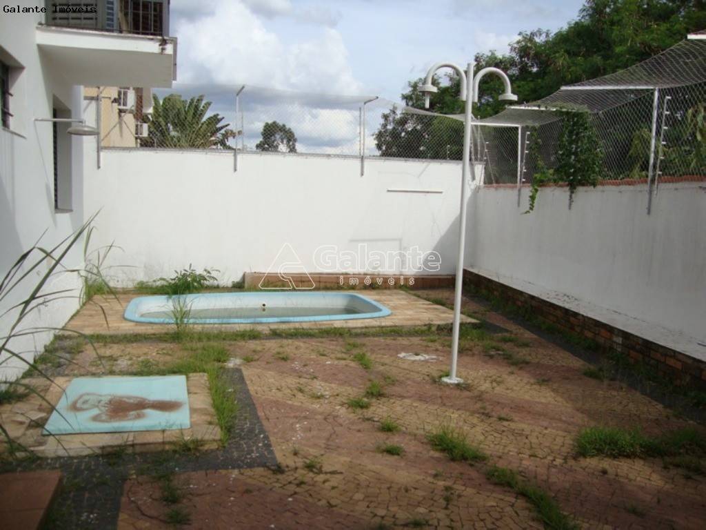 Casa em Jardim das Paineiras, Campinas - Casa - Jardim das Paineiras - Foto 7