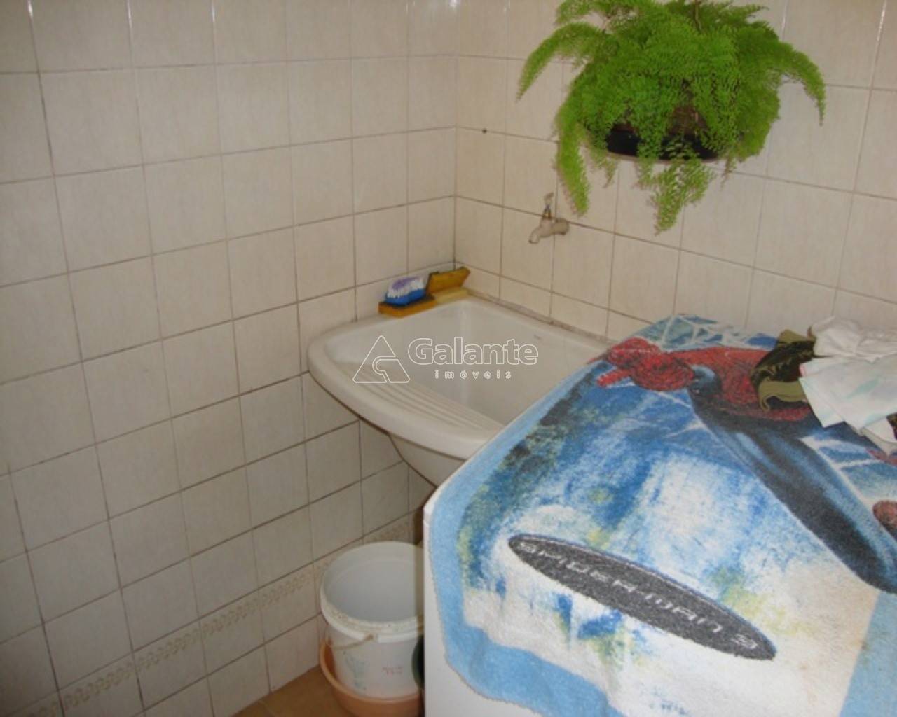 Apartamento em Jardim Flamboyant, Campinas - Apartamento - Jardim Flamboyant - Foto 3