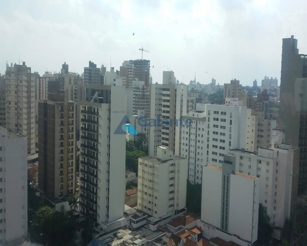 Comercial/Industrial no Centro, Campinas - Foto 4