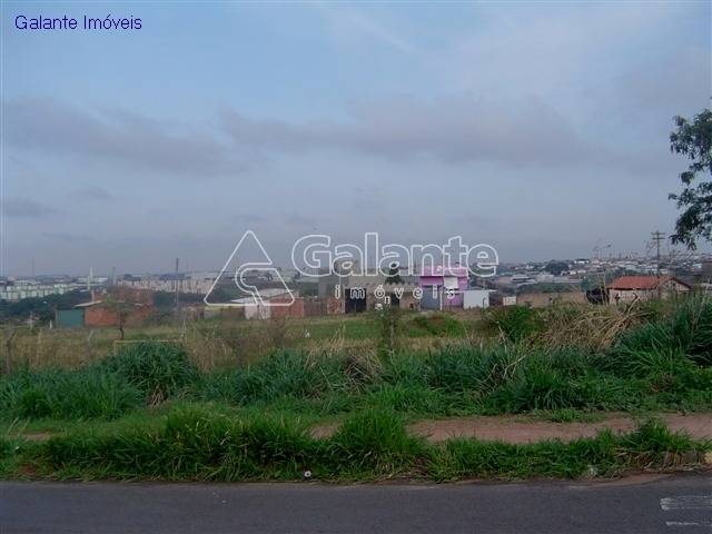 Terreno em Jardim Icaraí, Campinas - Terreno - Jardim Icaraí - Foto 3
