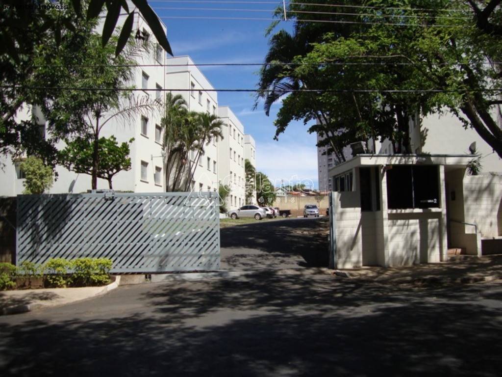 Apartamento em Jardim Miranda, Campinas - Apartamento - Jardim Miranda - Foto 1
