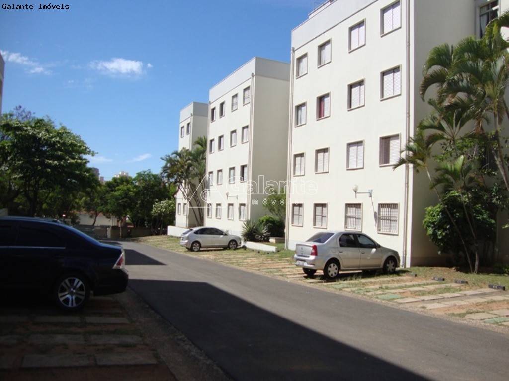 Apartamento em Jardim Miranda, Campinas - Foto 7