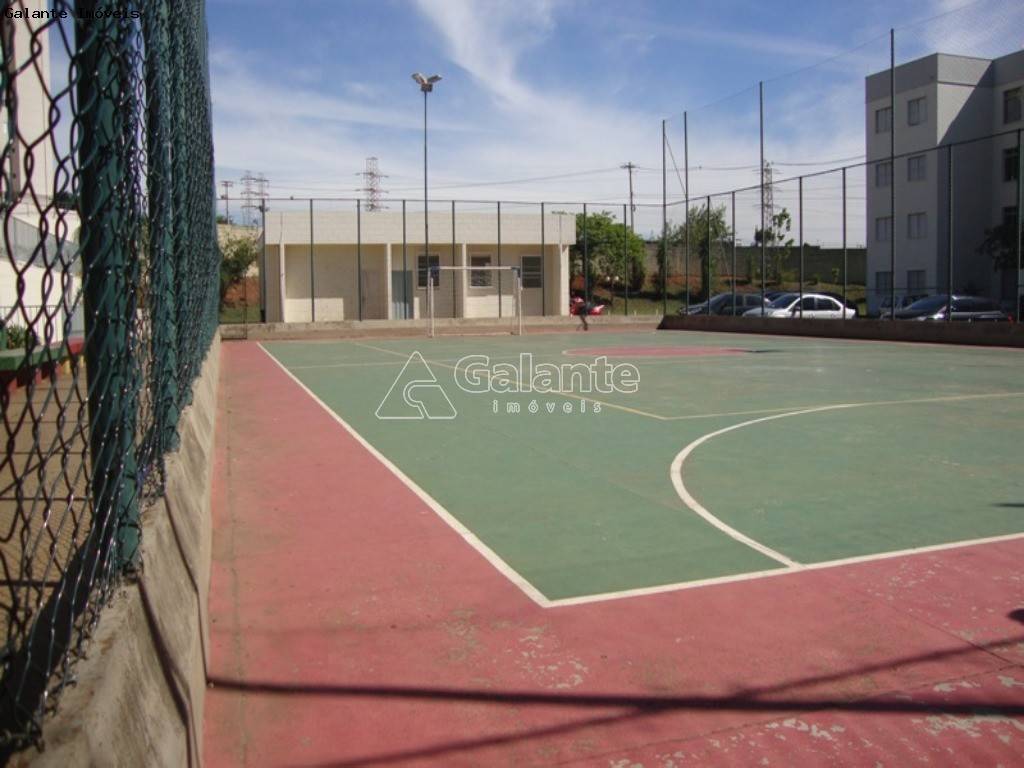 Apartamento em Jardim Miranda, Campinas - Foto 10
