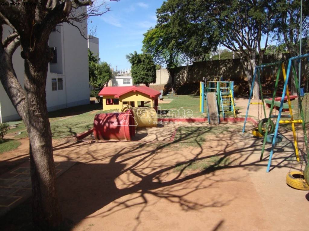 Apartamento em Jardim Miranda, Campinas - Foto 15