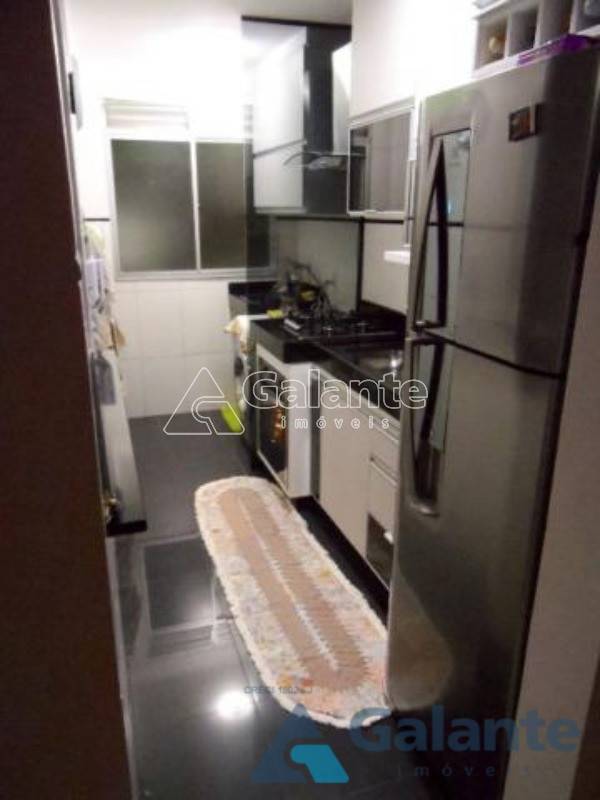 Apartamento em Jardim Nova Europa, Campinas - Apartamento - Jardim Nova Europa - Foto 2