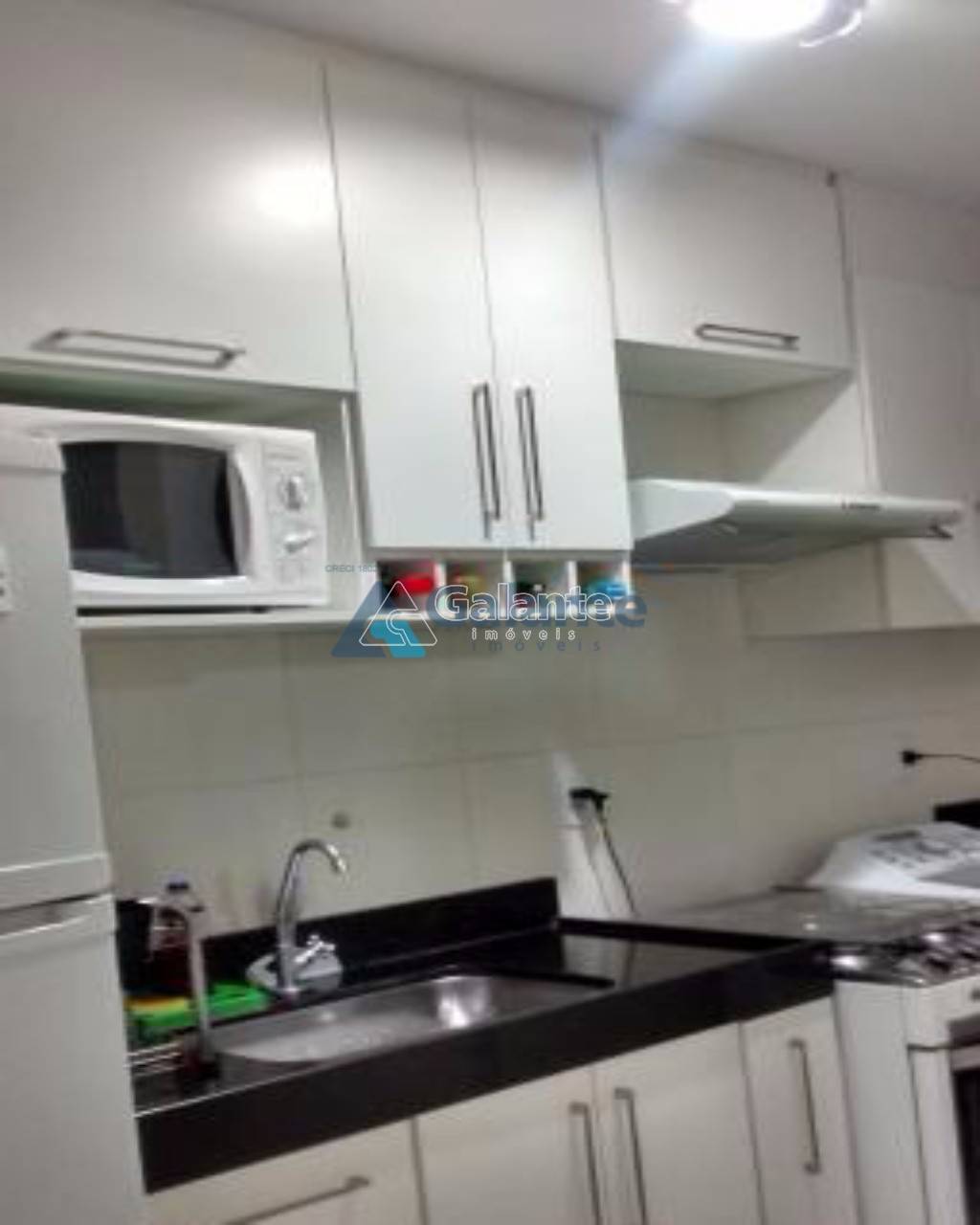 Apartamento em Jardim Nova Europa, Campinas - Apartamento - Jardim Nova Europa - Foto 2