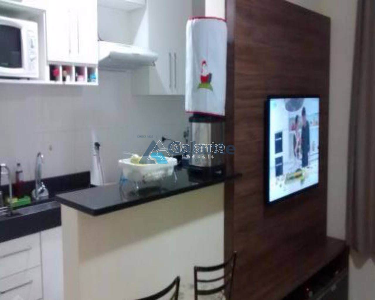 Apartamento em Jardim Nova Europa, Campinas - Apartamento - Jardim Nova Europa - Foto 1