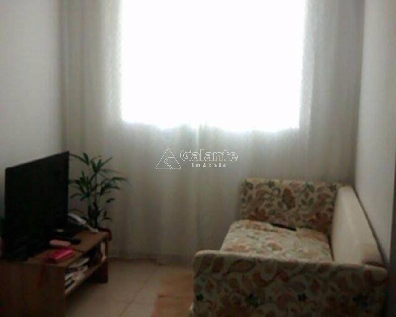 Apartamento em Jardim Nova Europa, Campinas - Apartamento - Jardim Nova Europa - Foto 2