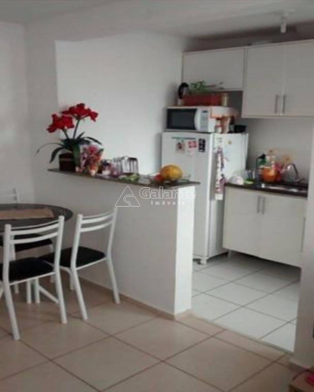 Apartamento em Jardim Nova Europa, Campinas - Apartamento - Jardim Nova Europa - Foto 3