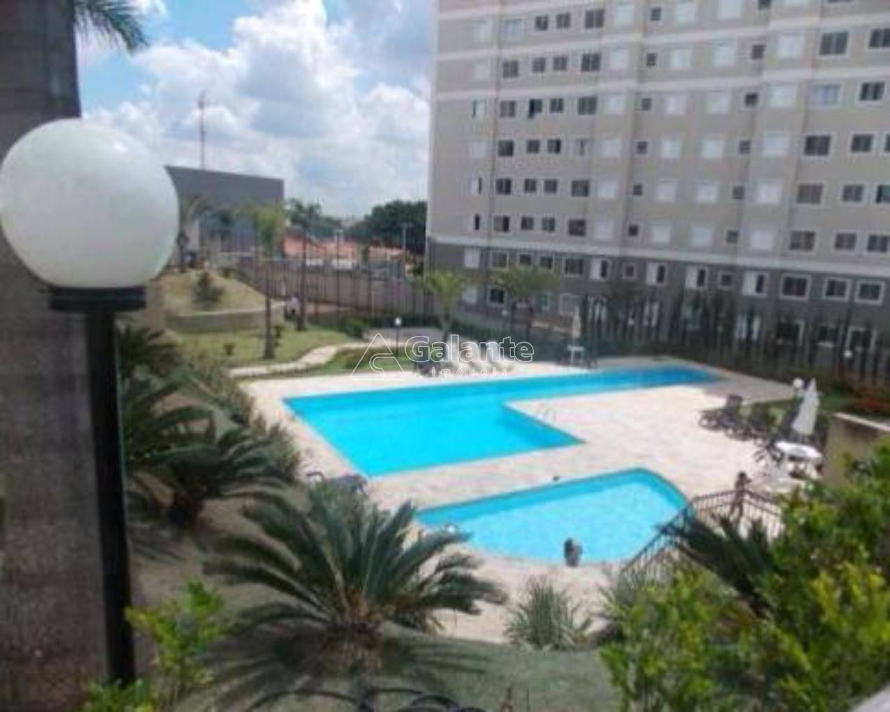 Apartamento em Jardim Nova Europa, Campinas - Apartamento - Jardim Nova Europa - Foto 1