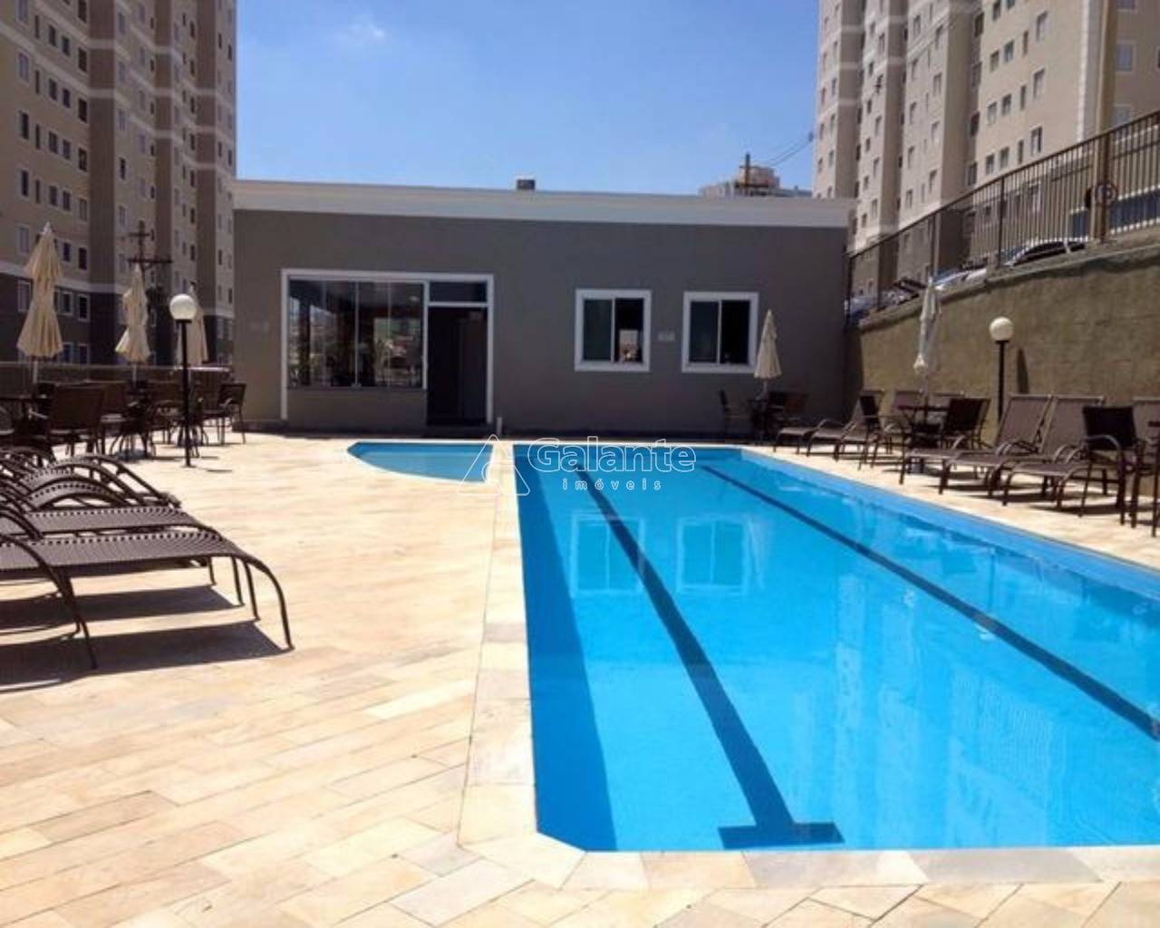 Apartamento em Jardim Nova Europa, Campinas - Apartamento - Jardim Nova Europa - Foto 1
