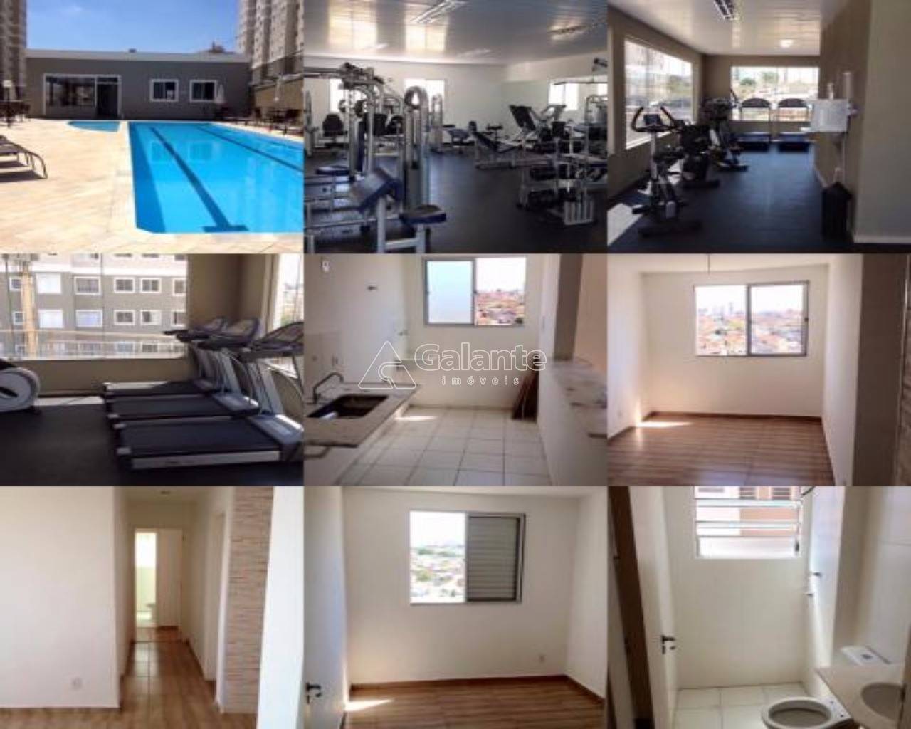 Apartamento em Jardim Nova Europa, Campinas - Apartamento - Jardim Nova Europa - Foto 3