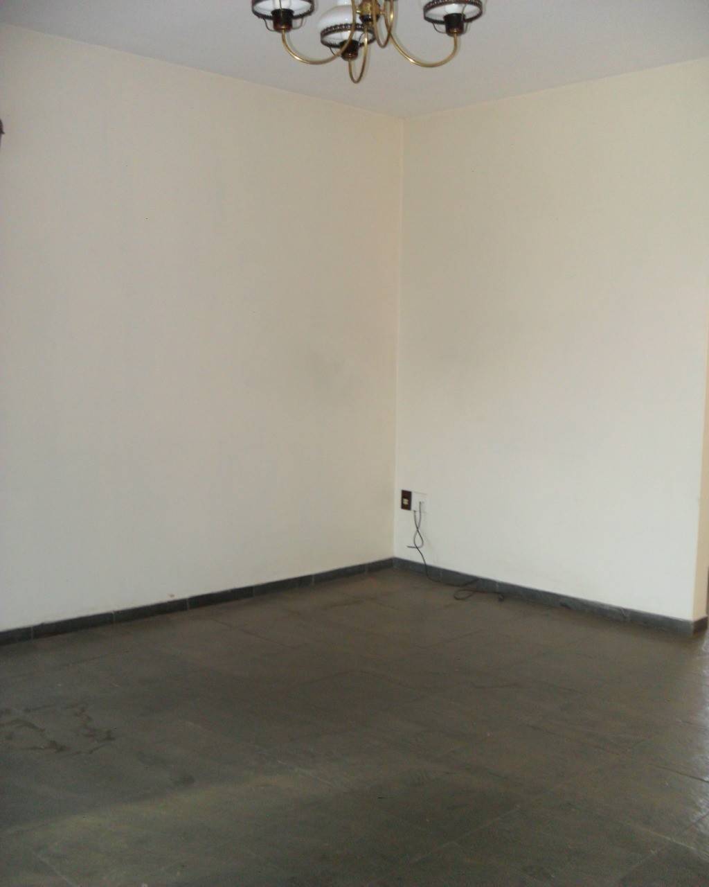 Comercial/Industrial em Jardim Novo Cambui, Campinas - Comercial/Industrial - Jardim Novo Cambui - Foto 4
