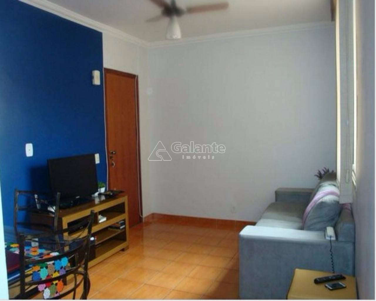 Apartamento em Jardim Paulicéia, Campinas - Apartamento - Jardim Paulicéia - Foto 1