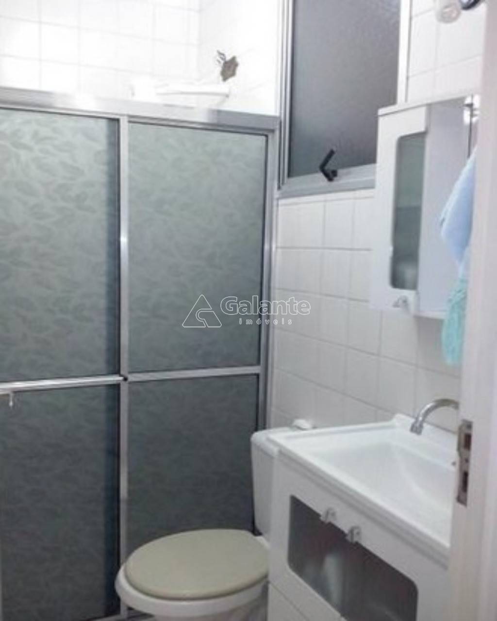Apartamento em Jardim Paulicéia, Campinas - Apartamento - Jardim Paulicéia - Foto 2