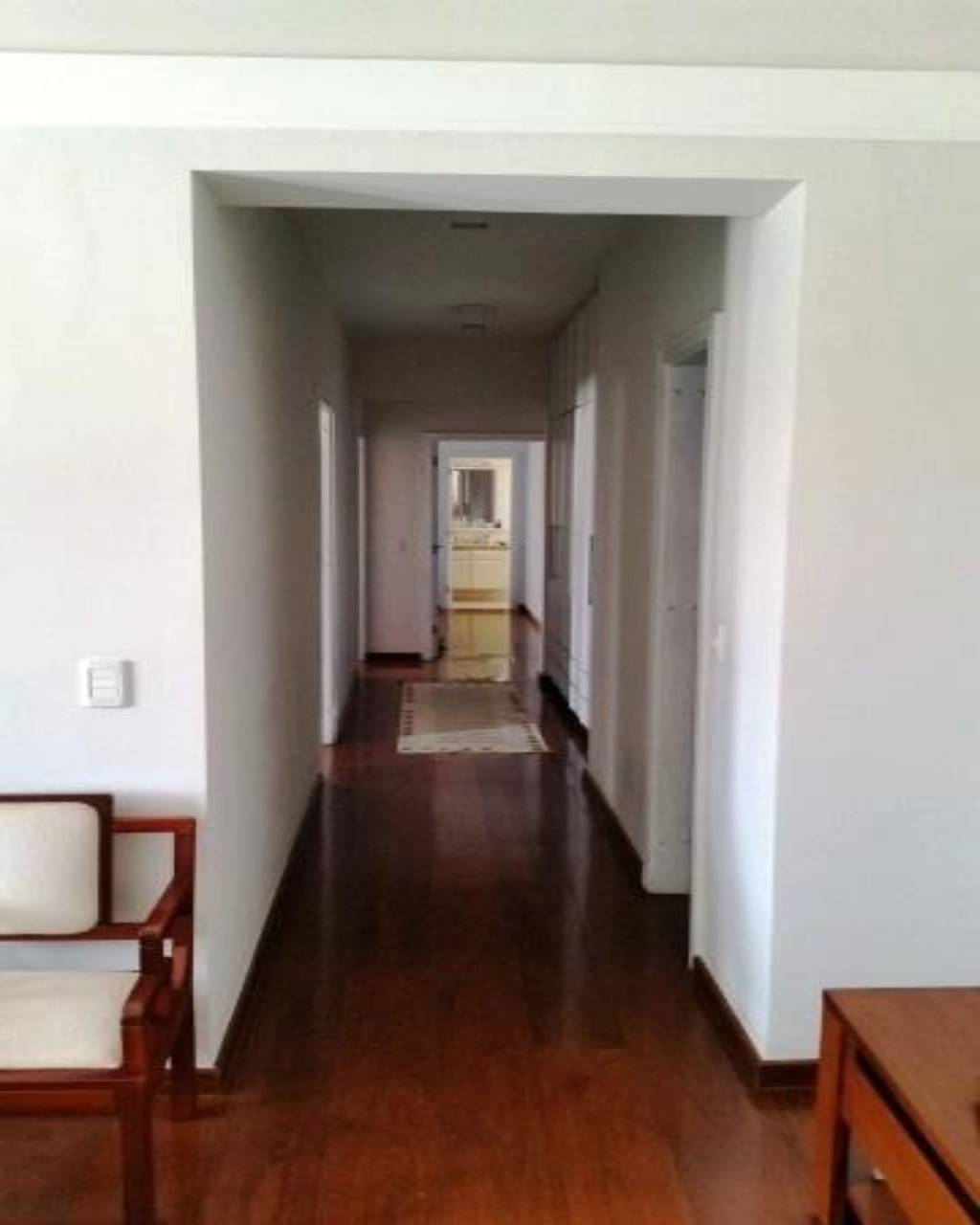 Apartamento em Jardim Proença, Campinas - Apartamento - Jardim Proença - Foto 3
