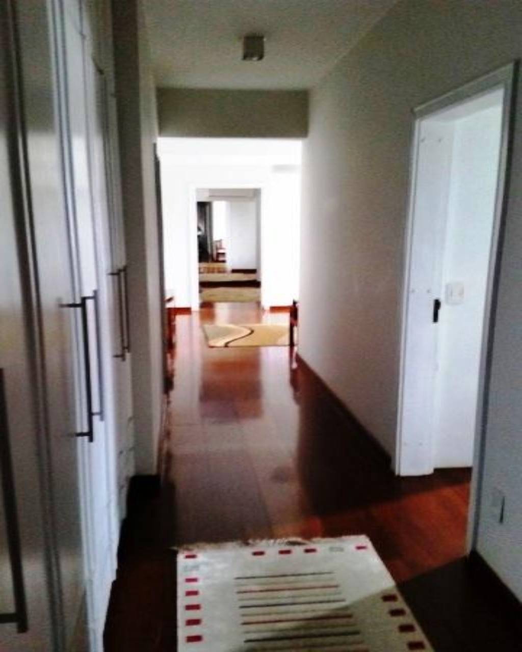 Apartamento em Jardim Proença, Campinas - Apartamento - Jardim Proença - Foto 18