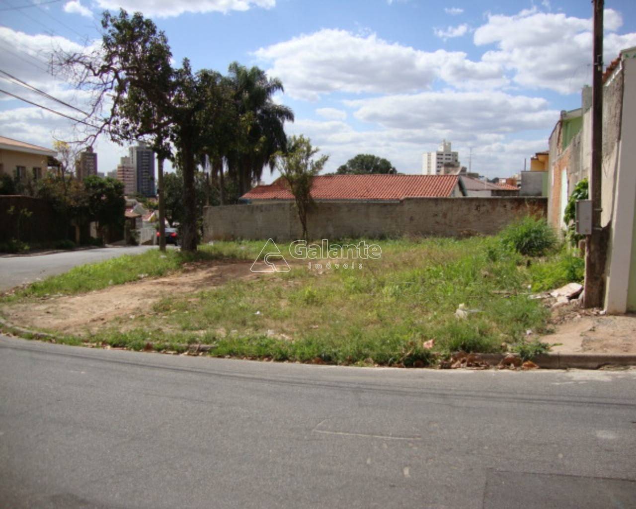 Terreno em Jardim Proença, Campinas - Terreno - Jardim Proença - Foto 1