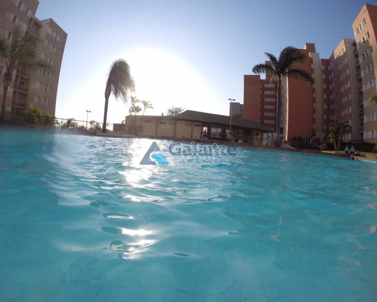 Apartamento em Loteamento Parque São Martinho, Campinas - Apartamento - Loteamento Parque São Martinho - Foto 6