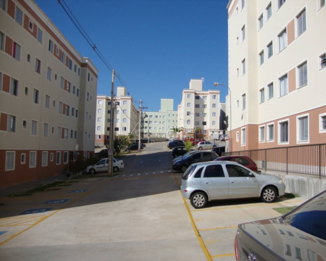 Apartamento em Loteamento Parque São Martinho, Campinas - Apartamento - Loteamento Parque São Martinho - Foto 15