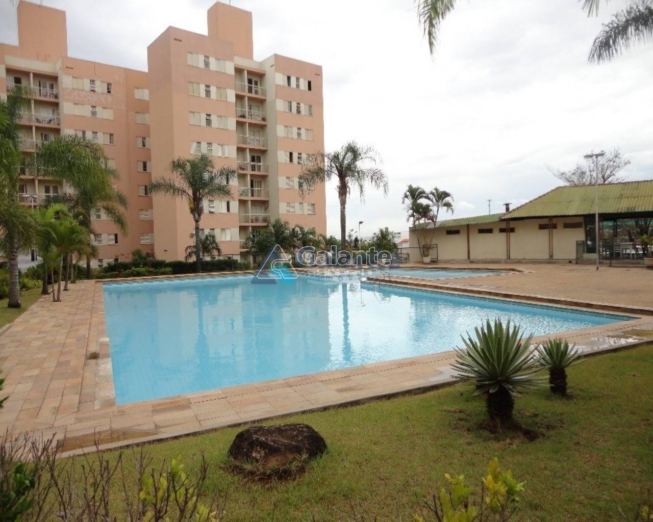 Apartamento em Loteamento Parque São Martinho, Campinas - Apartamento - Loteamento Parque São Martinho - Foto 11