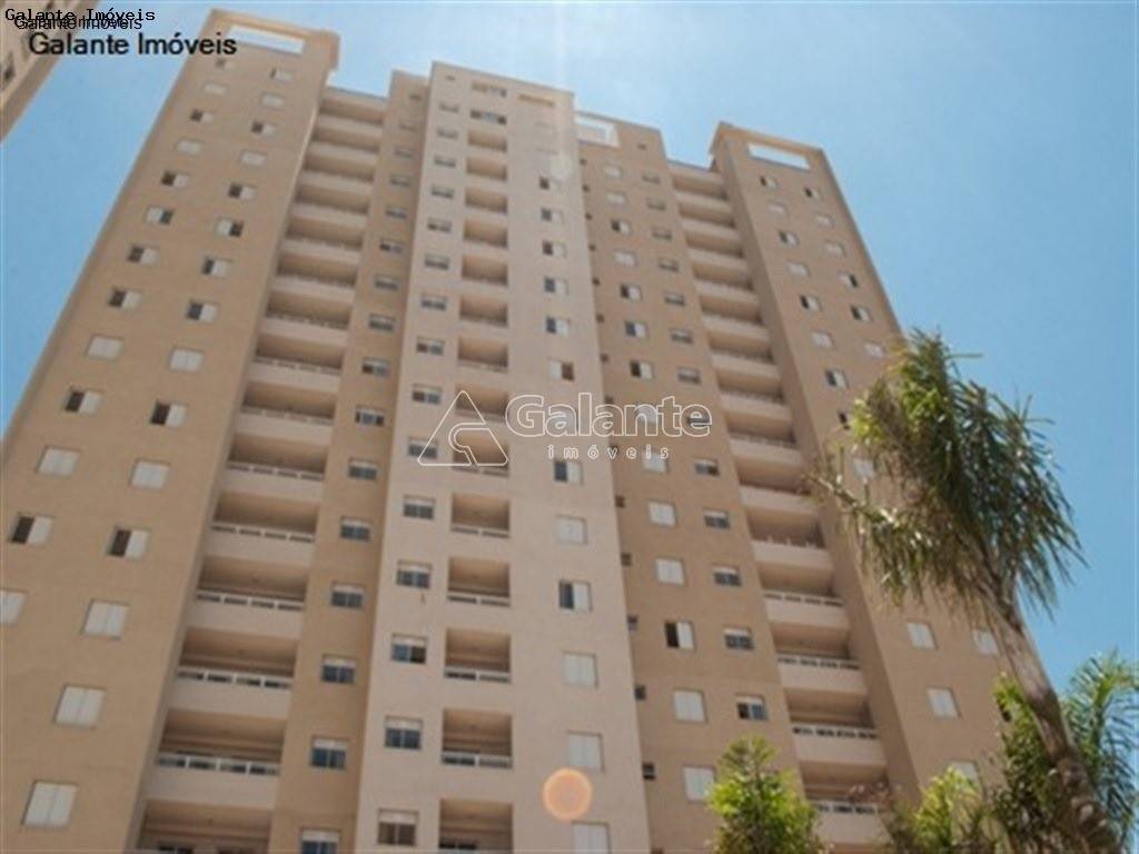 Apartamento em Mansões Santo Antônio, Campinas - Apartamento - Mansões Santo Antônio - Foto 1