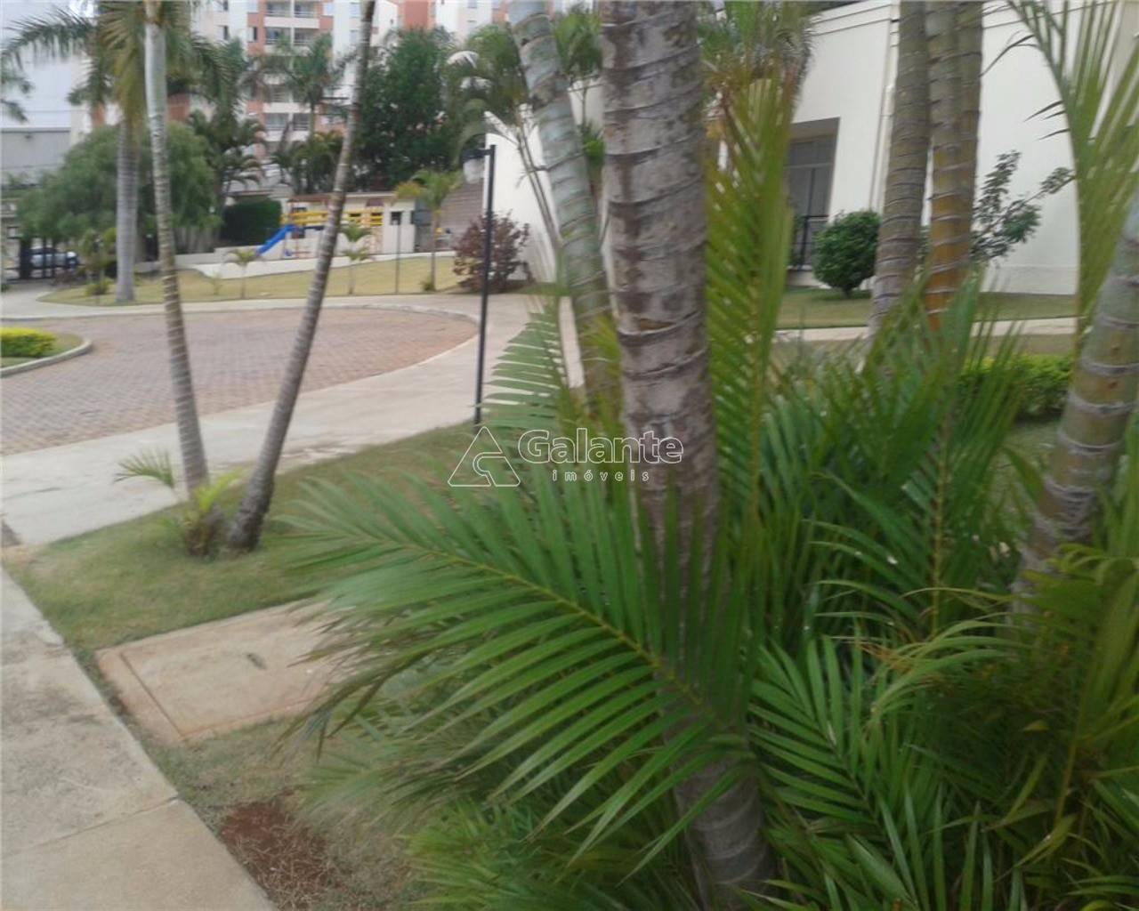 Apartamento em Mansões Santo Antônio, Campinas - Apartamento - Mansões Santo Antônio - Foto 8