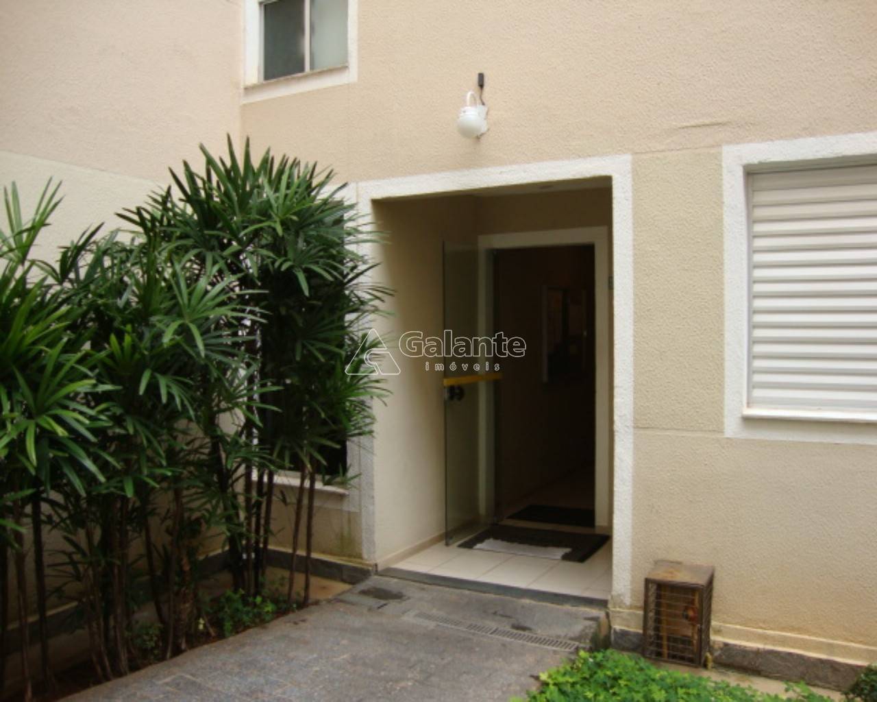 Apartamento em Mansões Santo Antônio, Campinas - Apartamento - Mansões Santo Antônio - Foto 17