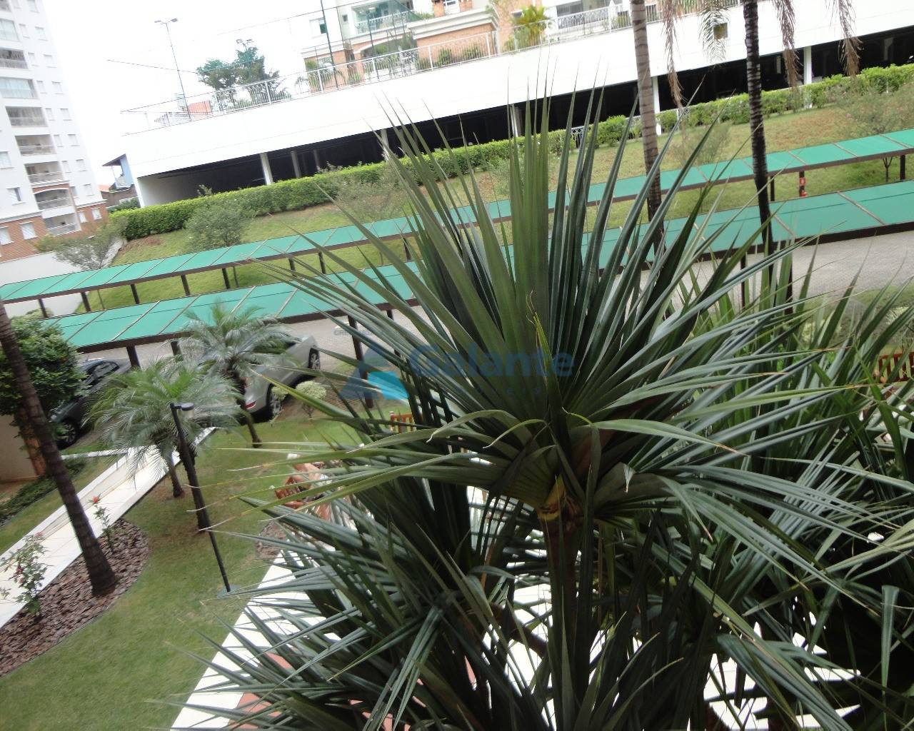 Apartamento em Mansões Santo Antonio, Campinas - Apartamento - Mansões Santo Antonio - Foto 8