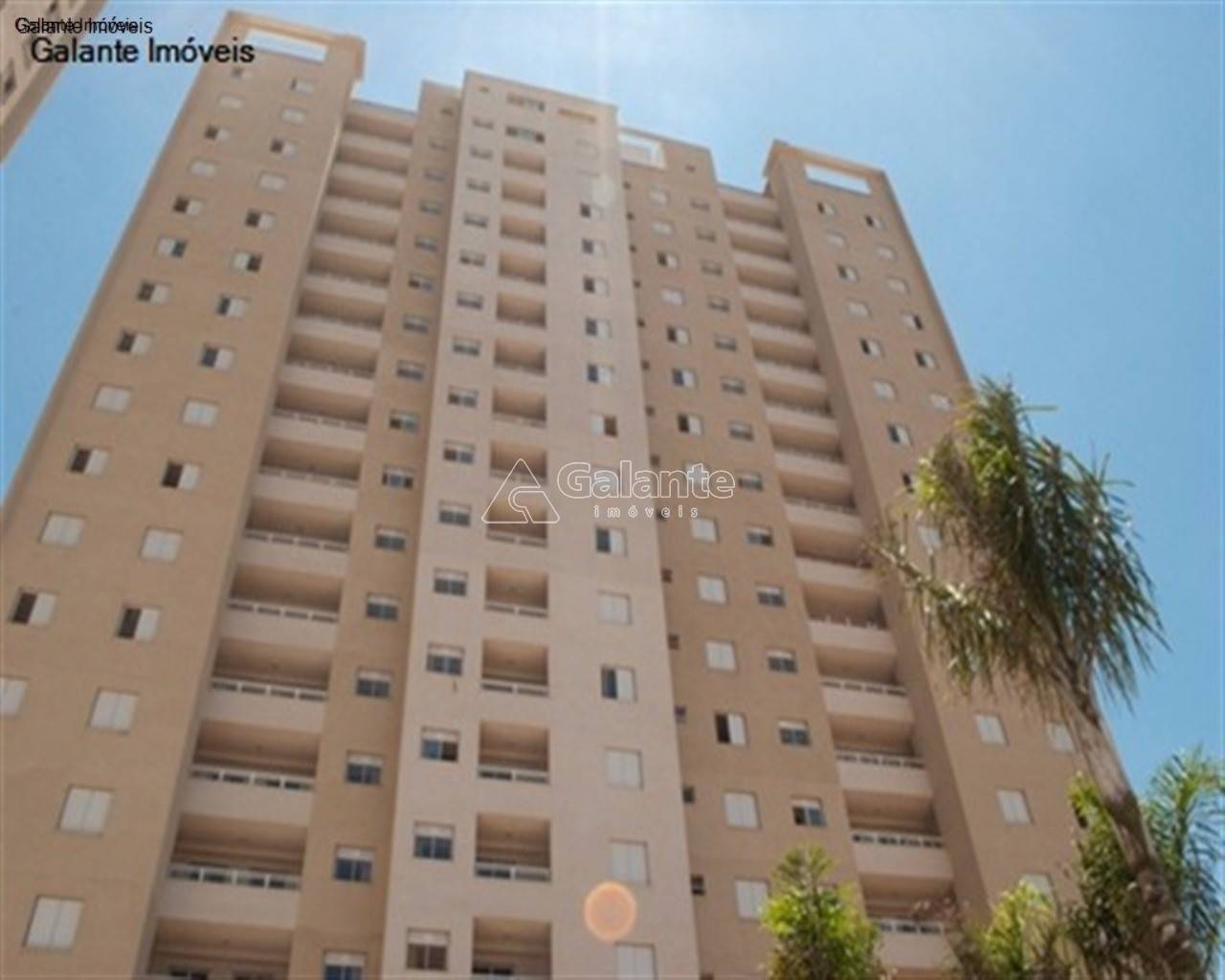 Apartamento em Mansões Santo Antônio, Campinas - Apartamento - Mansões Santo Antônio - Foto 1