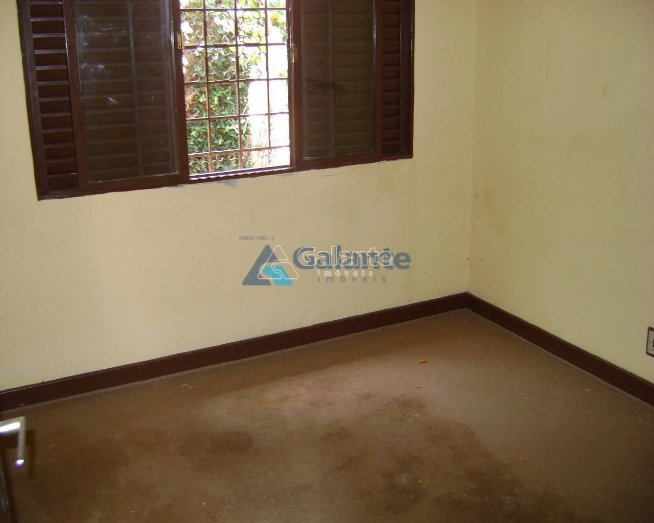 Comercial/Industrial em Nova Campinas, Campinas - Comercial/Industrial - Nova Campinas - Foto 4