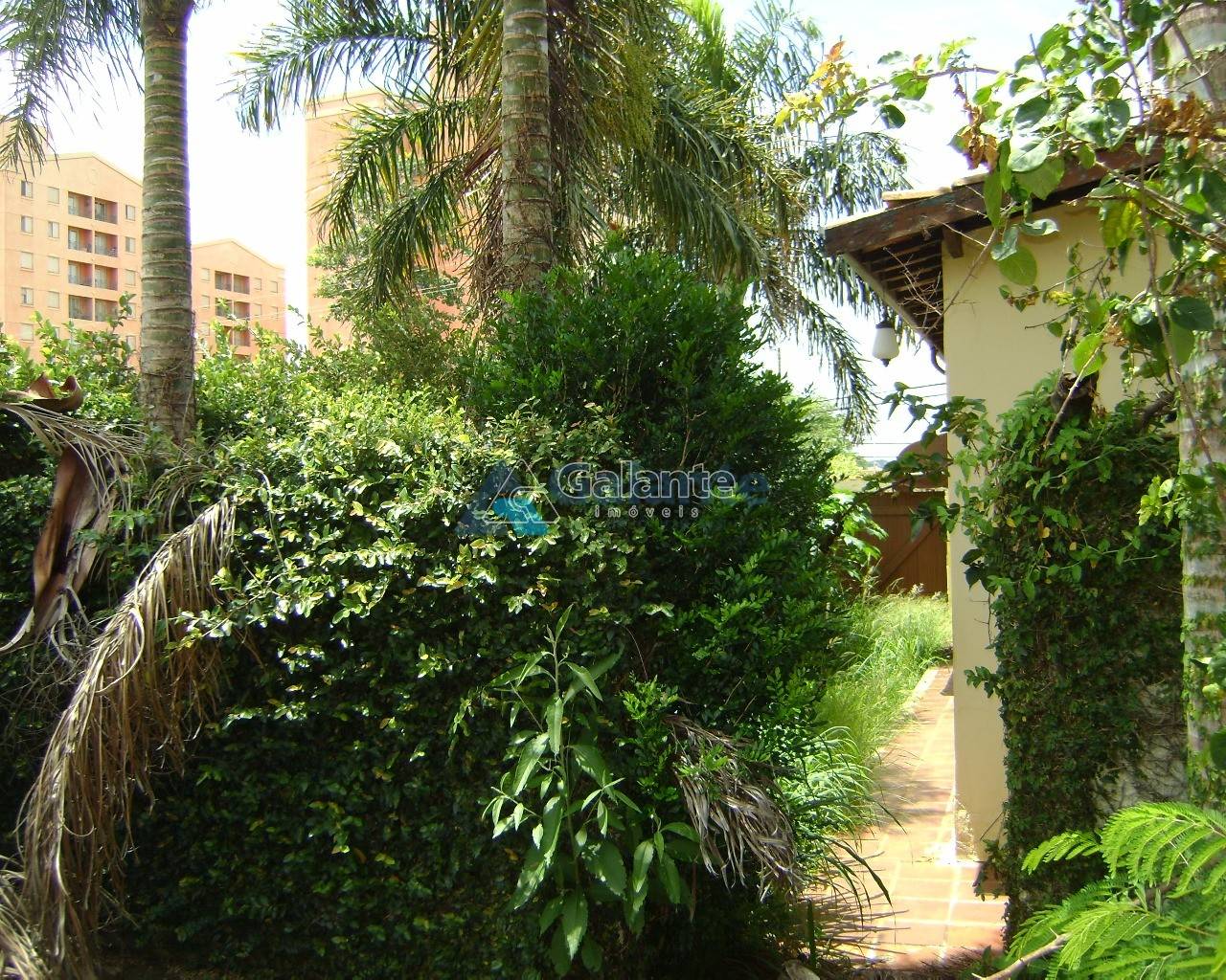 Comercial/Industrial em Nova Campinas, Campinas - Comercial/Industrial - Nova Campinas - Foto 5