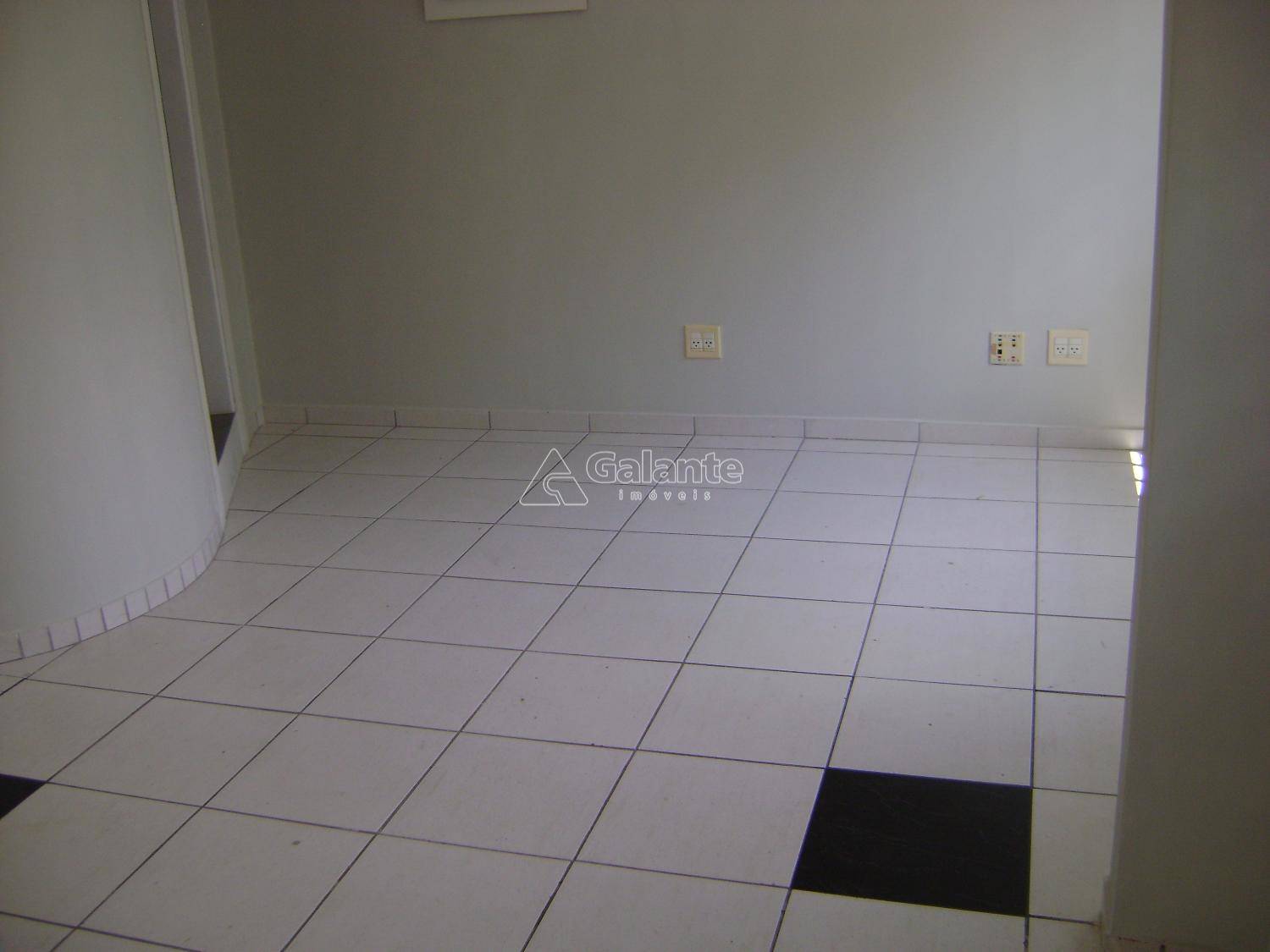 Comercial/Industrial em Nova Campinas, Campinas - Comercial/Industrial - Nova Campinas - Foto 4