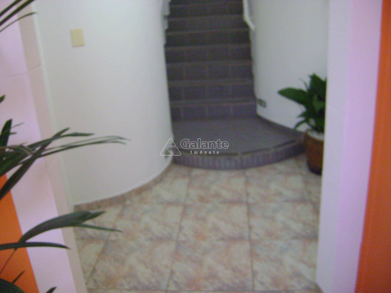 Comercial/Industrial em Nova Campinas, Campinas - Comercial/Industrial - Nova Campinas - Foto 11