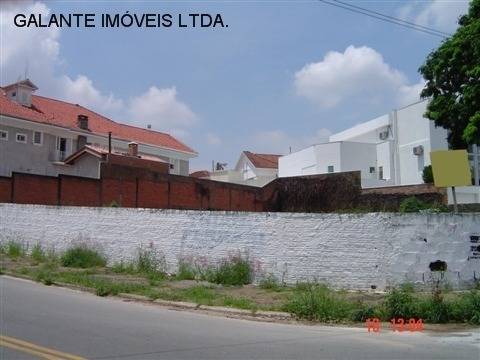 Terreno em Nova Campinas, Campinas - Terreno - Nova Campinas - Foto 1