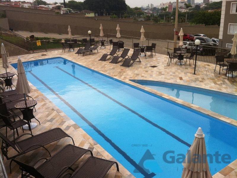 Apartamento em Nova Europa, Campinas - Apartamento - Nova Europa - Foto 3