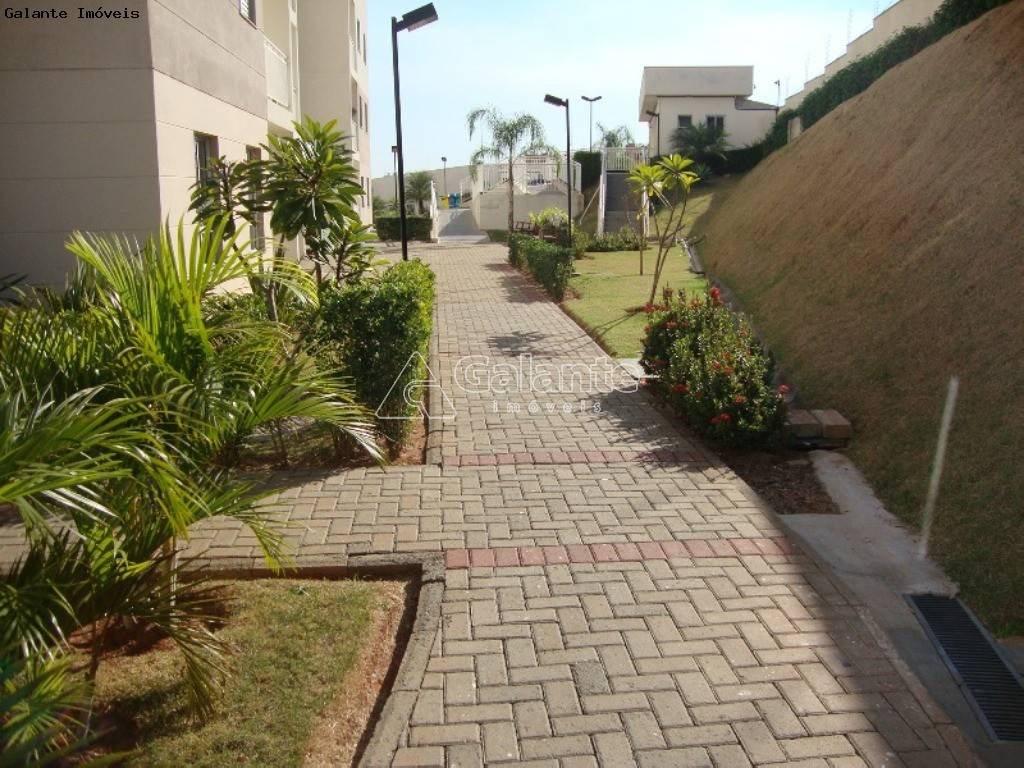Apartamento em Parque Brasília, Campinas - Apartamento - Parque Brasília - Foto 21