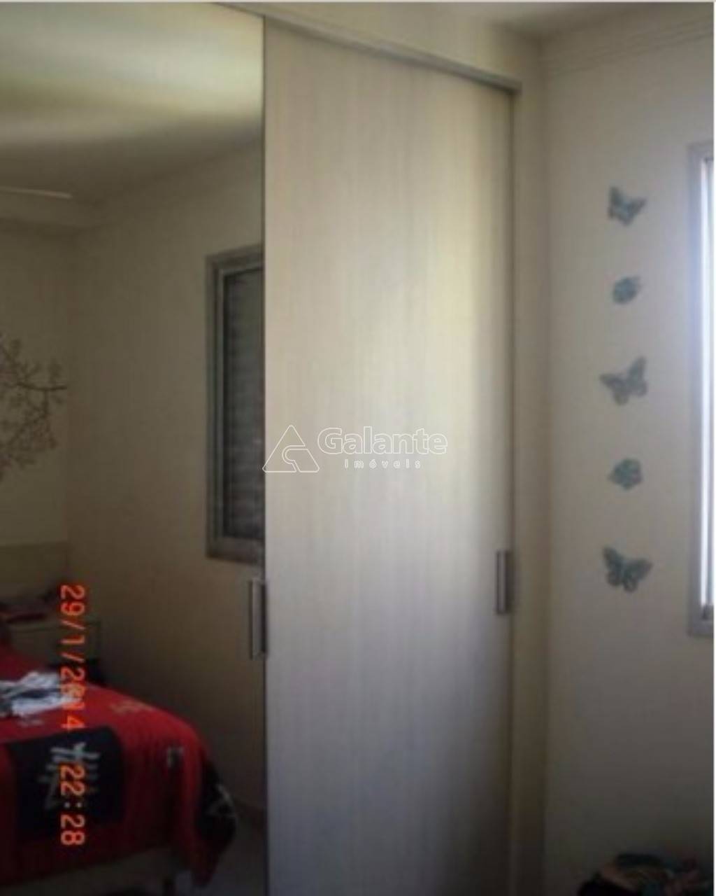 Apartamento em Parque Brasilia, Campinas - Apartamento - Parque Brasilia - Foto 8