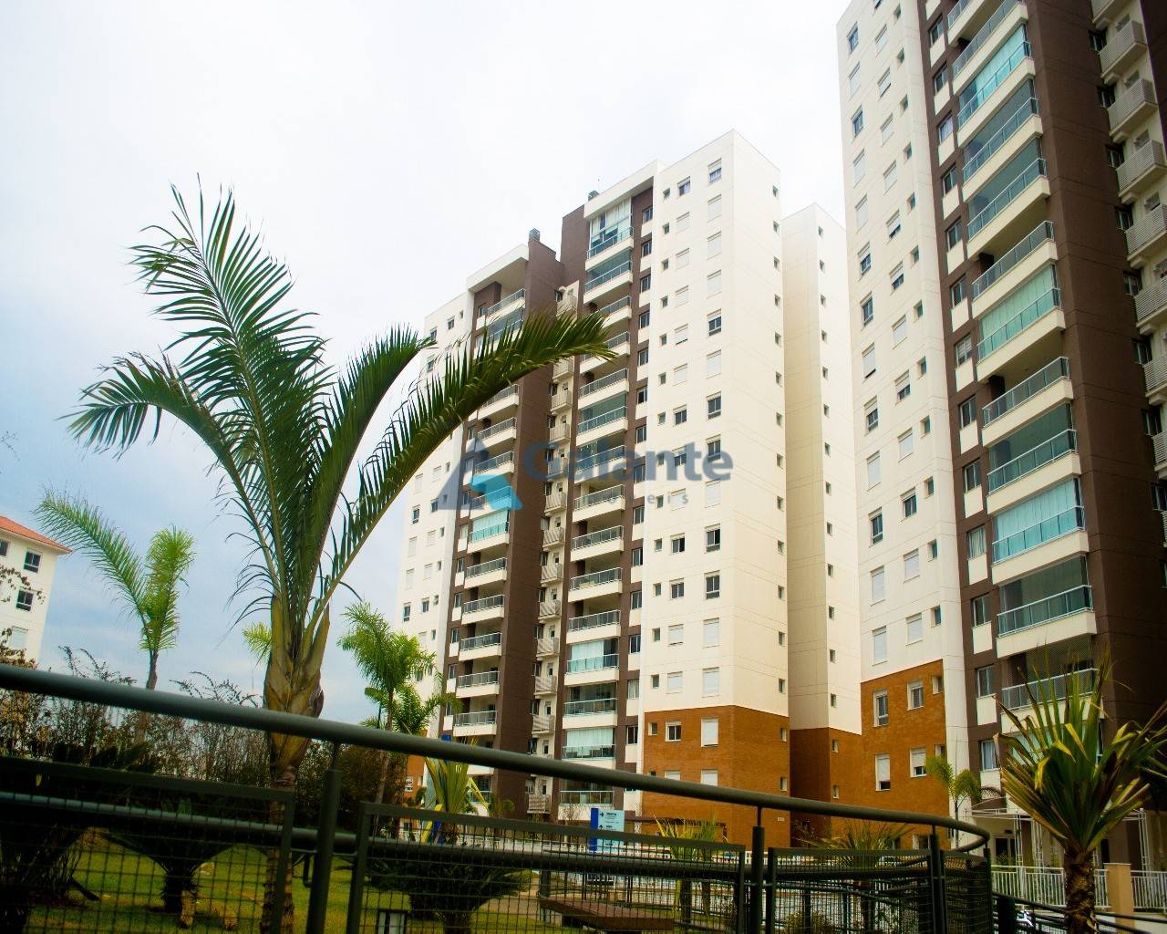 Apartamento em Parque das Flores, Campinas - Apartamento - Parque das Flores - Foto 19