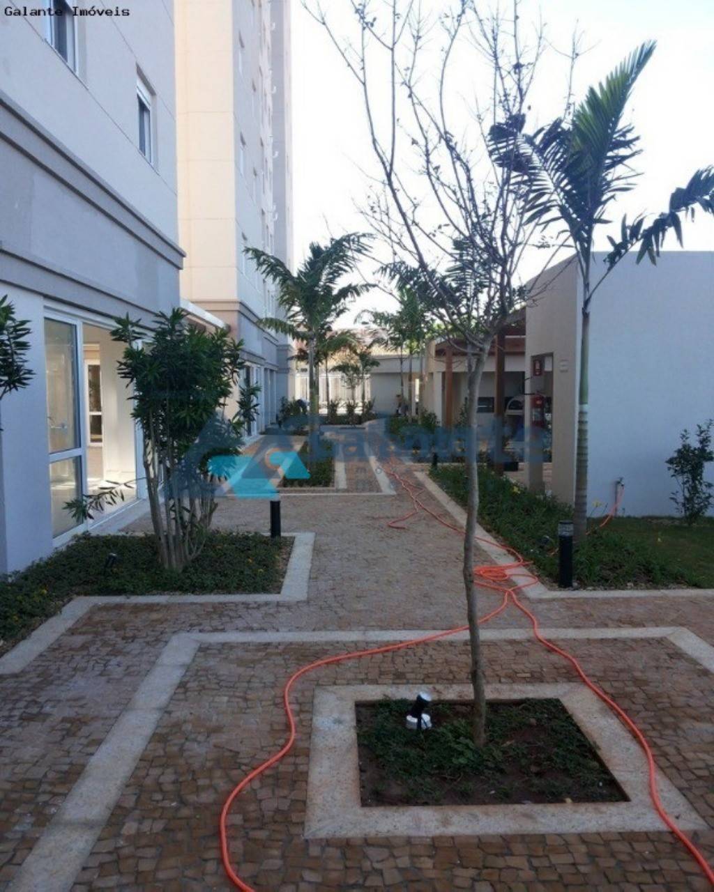 Apartamento em Parque Industrial, Campinas - Apartamento - Parque Industrial - Foto 5