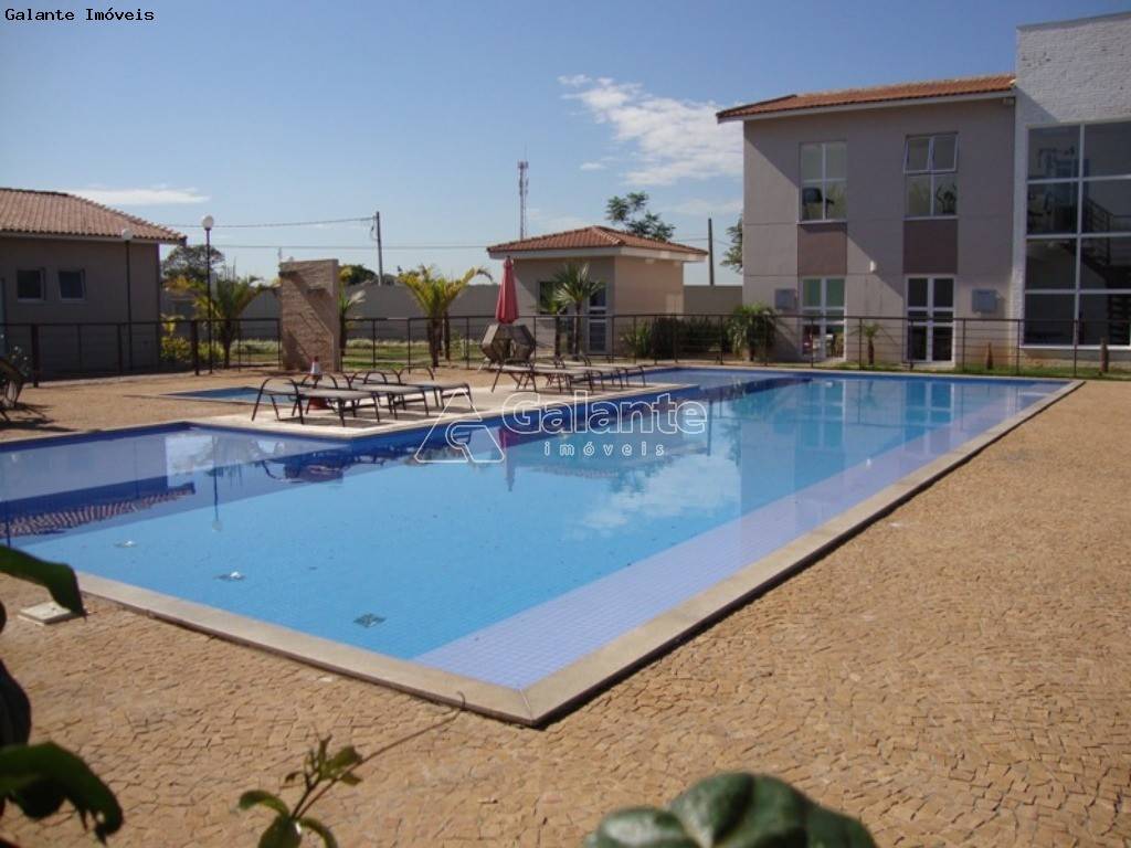 Apartamento em Vila Ipê, Campinas - Apartamento - Vila Ipê - Foto 6
