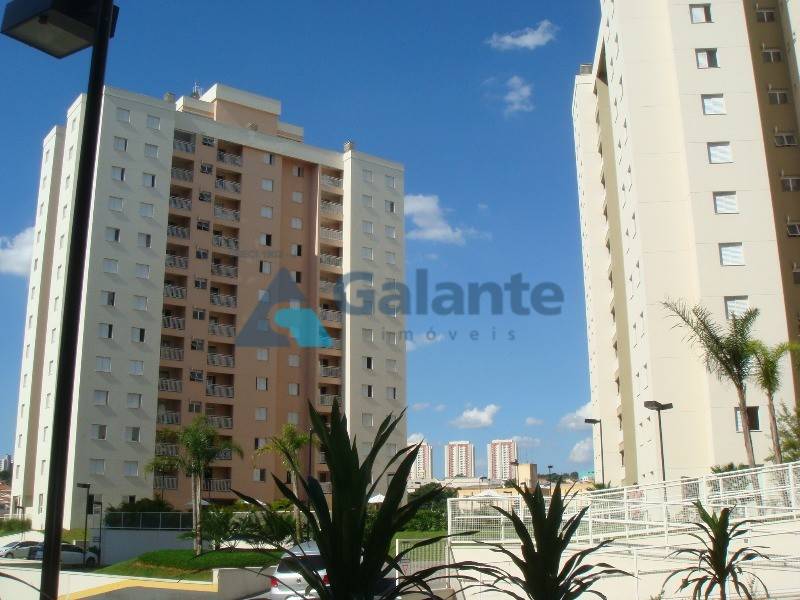 Apartamento em Jardim Nova Europa, Campinas - Apartamento - Jardim Nova Europa - Foto 1