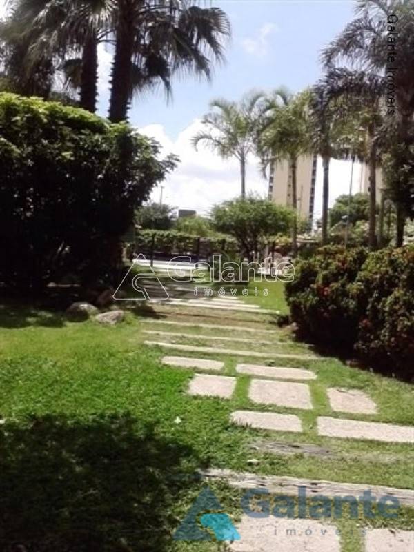 Apartamento em Vila Marieta, Campinas - Apartamento - Vila Marieta - Foto 7