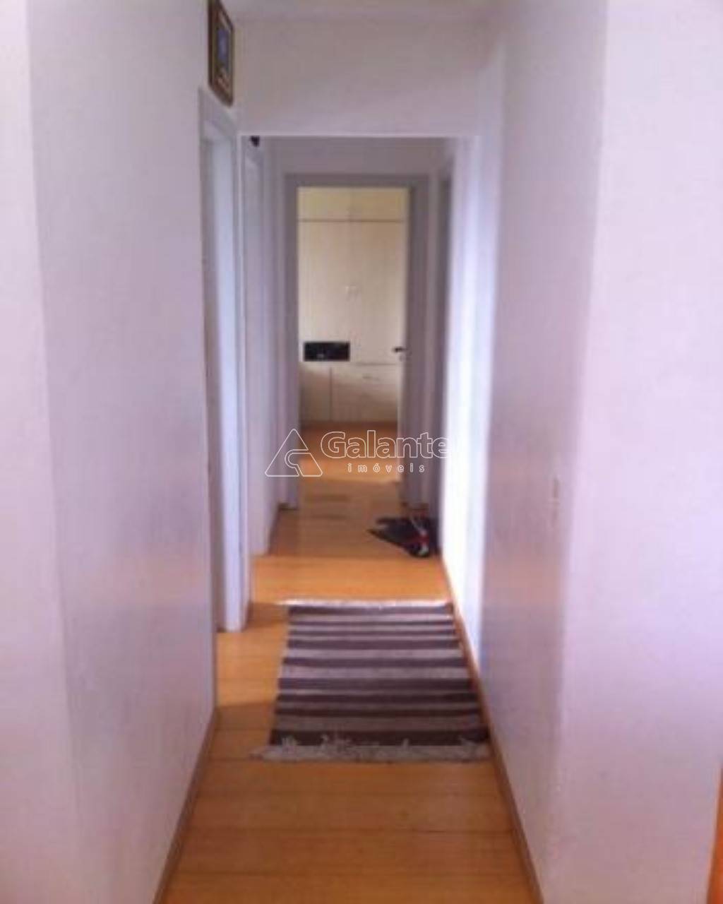 Apartamento em Parque Prado, Campinas - Apartamento - Parque Prado - Foto 3