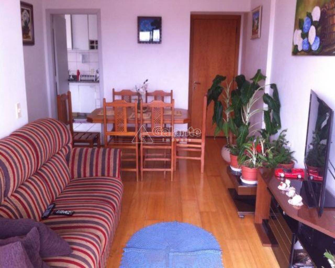 Apartamento em Parque Prado, Campinas - Apartamento - Parque Prado - Foto 7