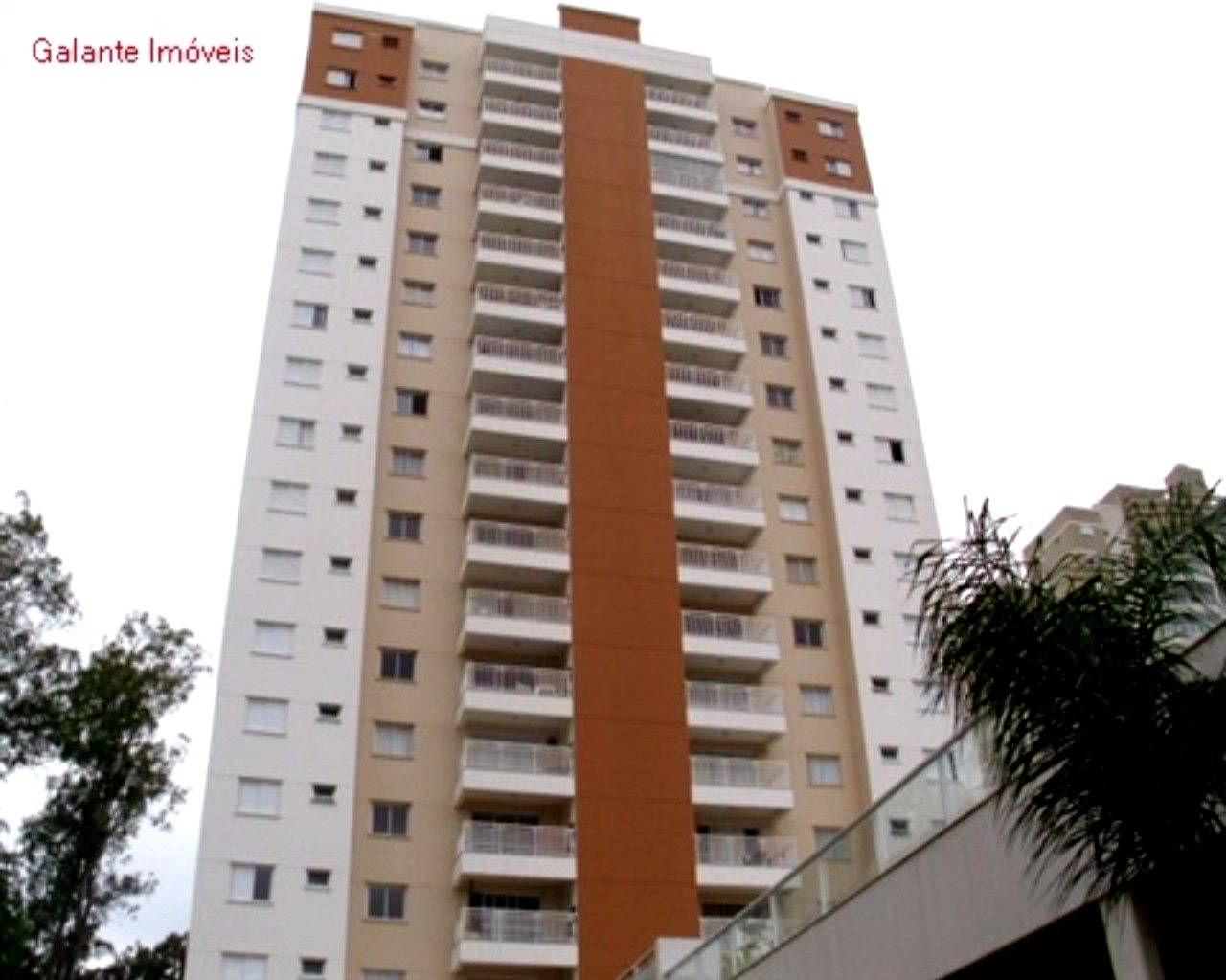 Apartamento em Parque Prado, Campinas - Apartamento - Parque Prado - Foto 9