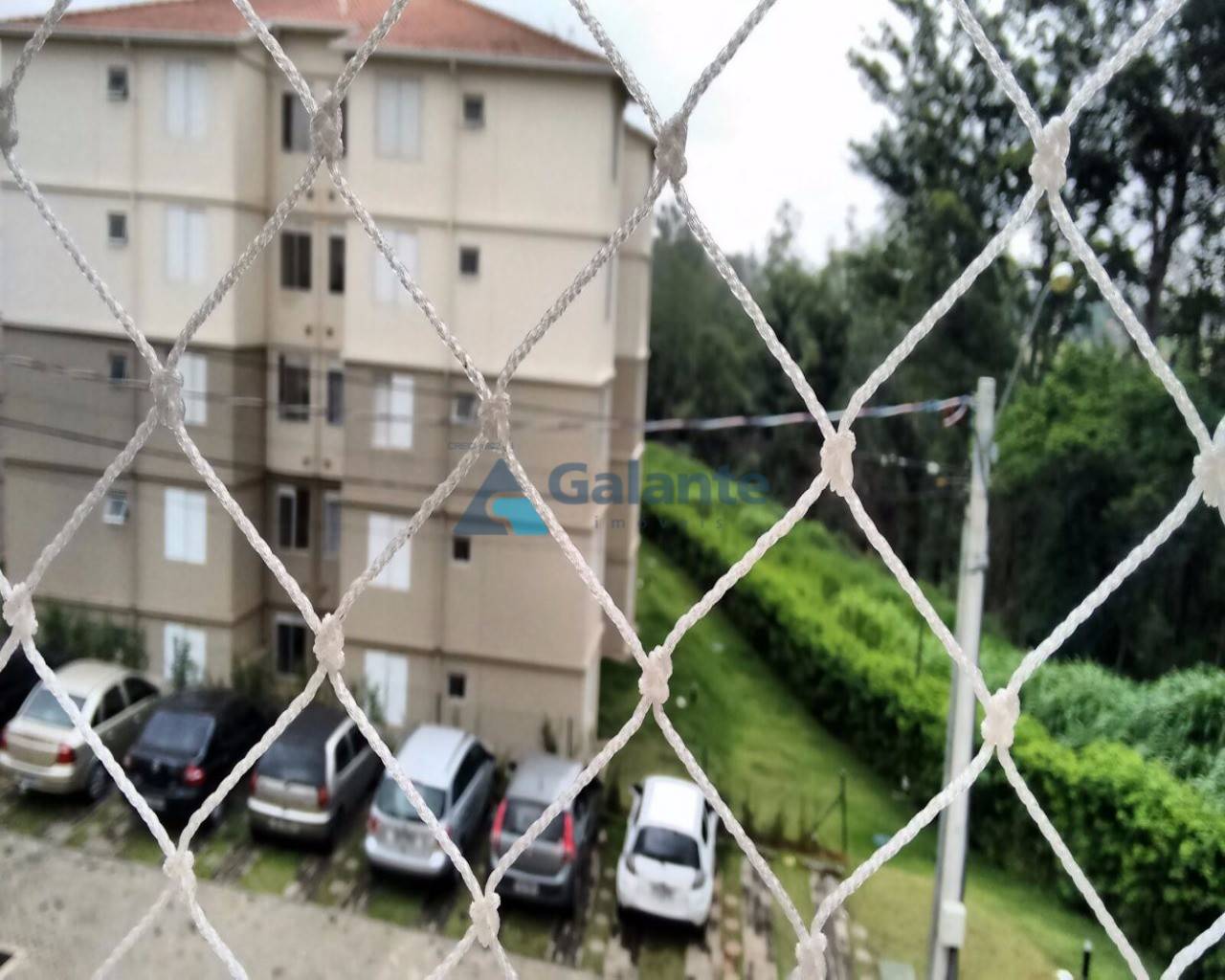 Apartamento em Parque Prado, Campinas - Apartamento - Parque Prado - Foto 3