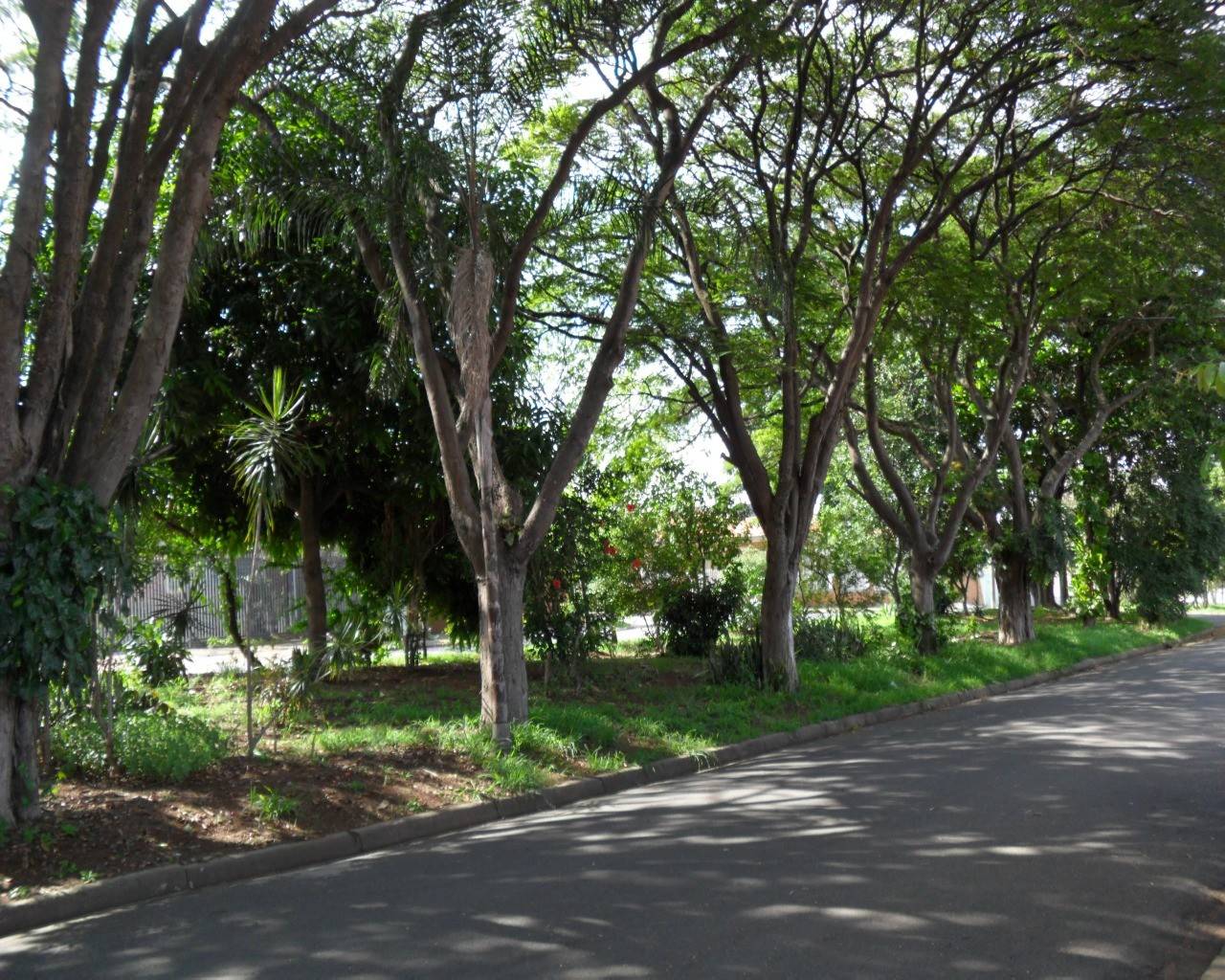 Casa em Parque São Quirino, Campinas - Casa - Parque São Quirino - Foto 17