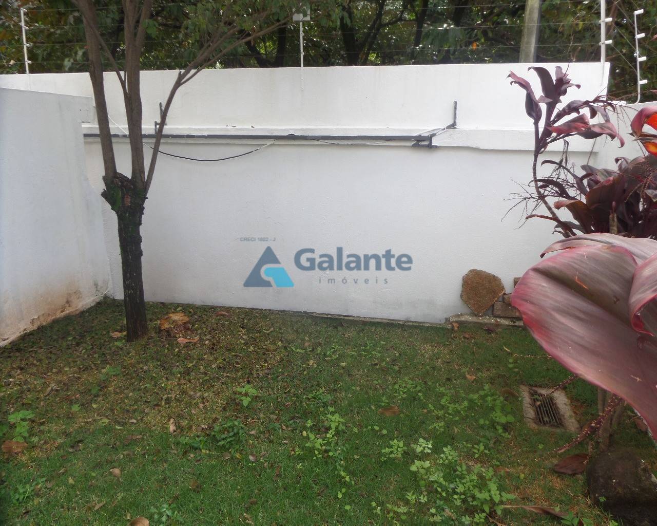 Comercial/Industrial em Parque Taquaral, Campinas - Comercial/Industrial - Parque Taquaral - Foto 13