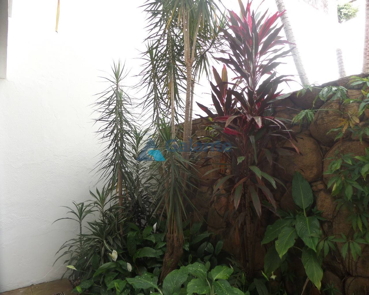 Comercial/Industrial em Parque Taquaral, Campinas - Comercial/Industrial - Parque Taquaral - Foto 19